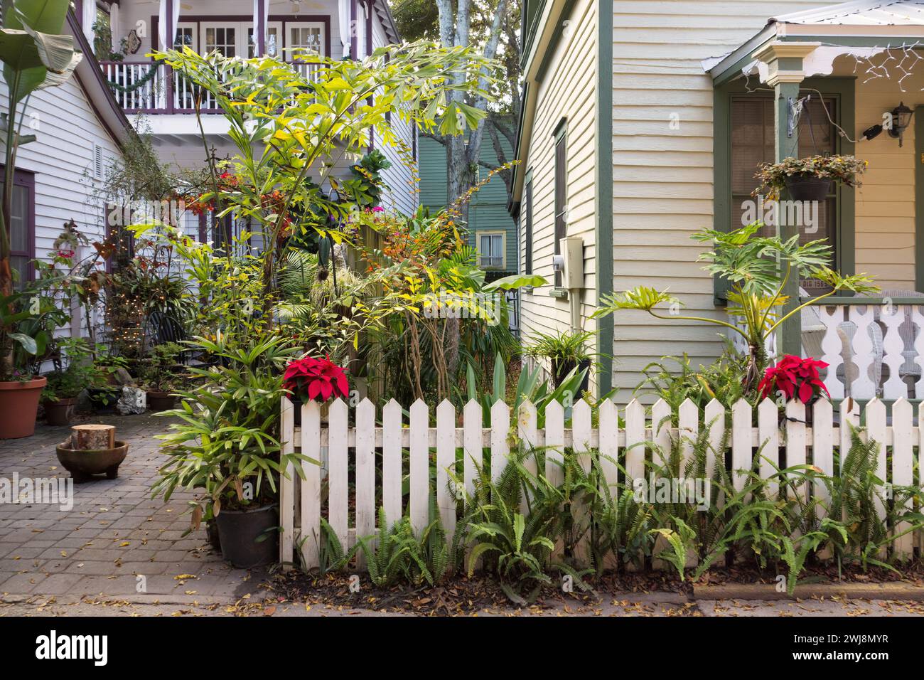 Kleiner Garten im Hinterhof eines Hauses in der Altstadt von St. Augustine, Florida, USA Stockfoto