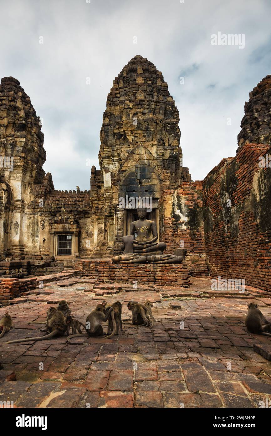 Krabbenfressende Makaken im Phra Prang Sam Yot in Lopburi, Thailand. Stockfoto