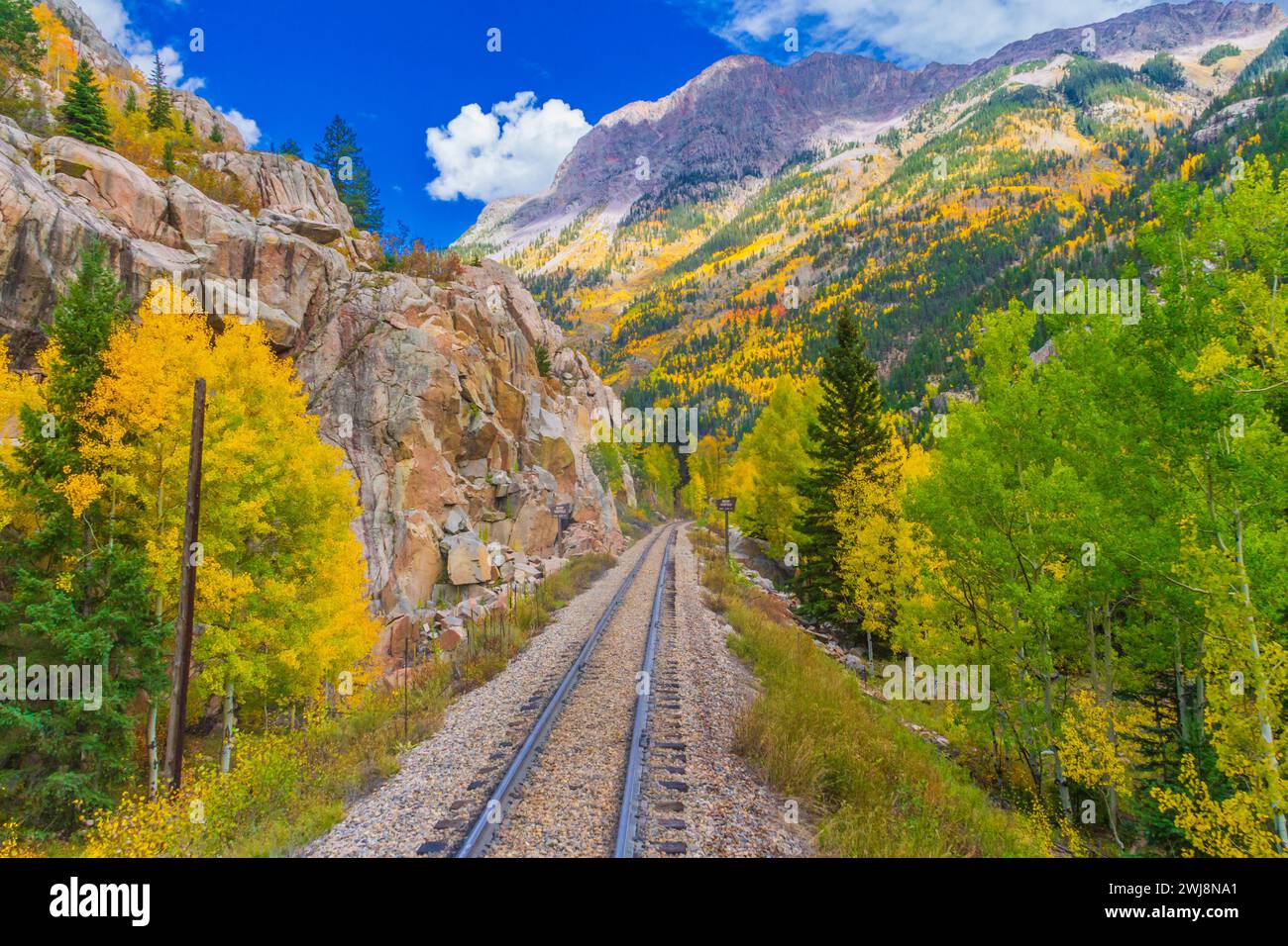 Herbstfarbe mit Aspen Bäume entlang der Durango and Silverton Narrow Gauge Railroad Tracks in den San Juan Mountains. Stockfoto