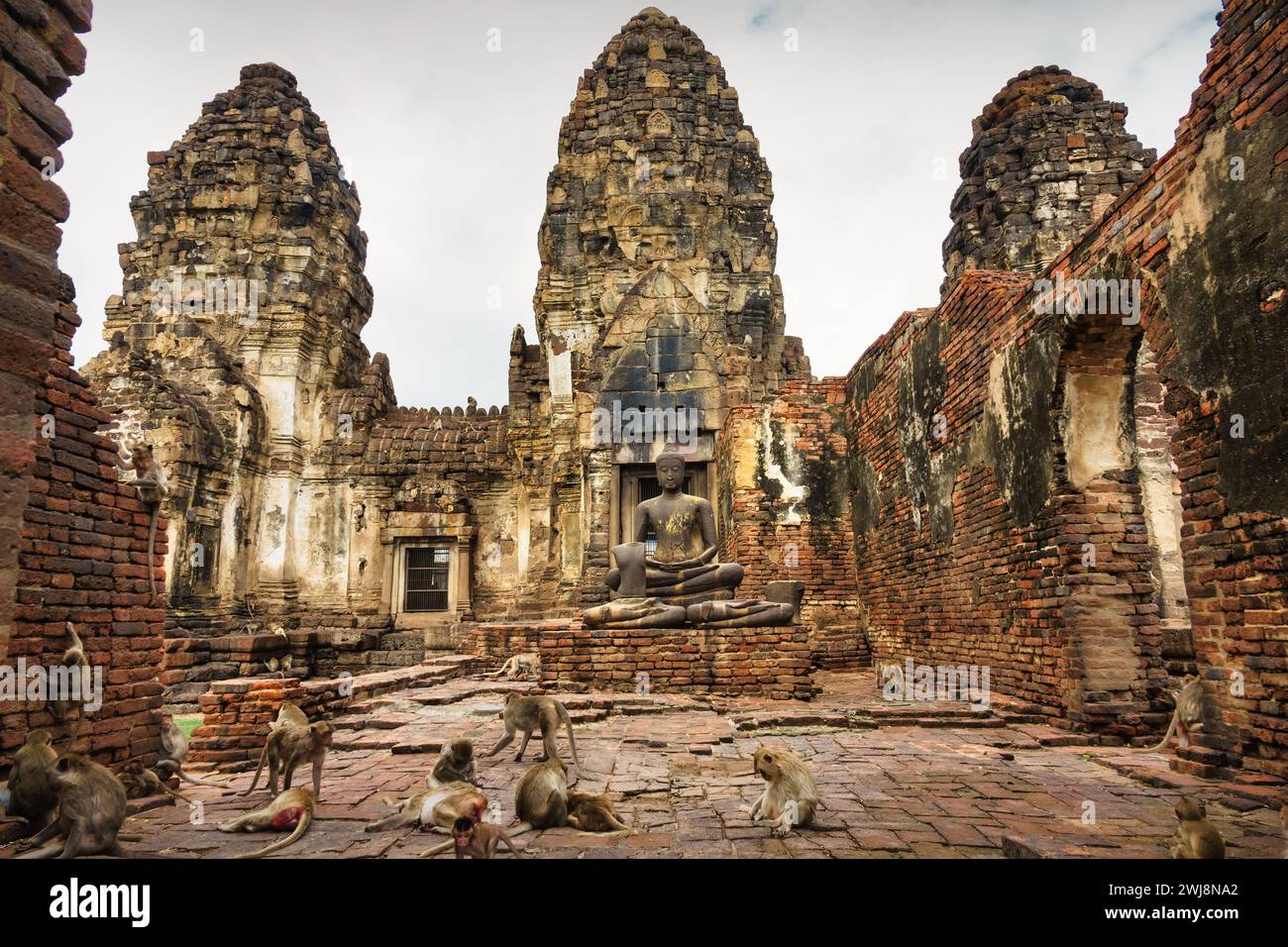 Krabbenfressende Makaken im Phra Prang Sam Yot in Lopburi, Thailand. Stockfoto