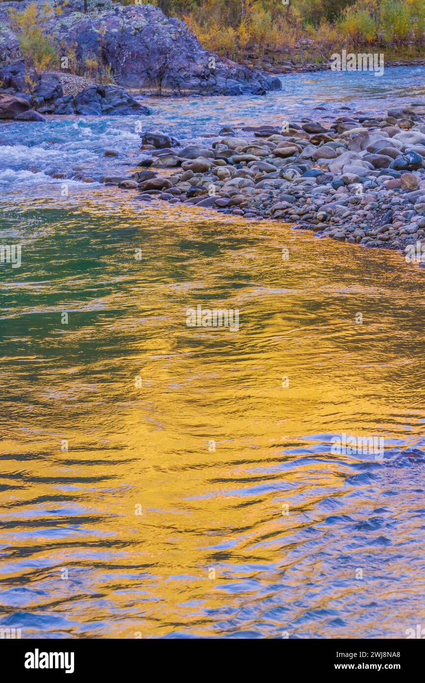 Goldene Reflektionen im Animas River von Aspen Bäumen, die im Herbst Gold und Gelb färben. Stockfoto