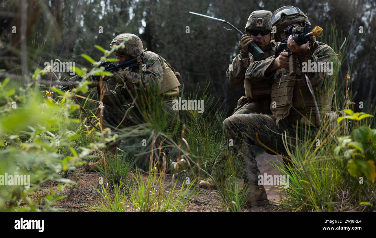Von links aus scannen Gabriel Hernandez, Sgt. Lukas Ibarra und Lance CPL. Aaron Finnegan während einer Feldübung im Kahuku Training Area, Hawaii, 8. Februar 2024 nach fiktiven Widersachern. Während des Trainings führte das 3d Littoral Logistics Bataillon, 3d Marine Littoral Regiment, 3d Marine Division taktische logistische Operationen durch, die 3d MLR Einheiten unterstützten, während sie mit fiktiven feindlichen Eingriffen konfrontiert waren. Hernandez stammt aus Anaheim, Kalifornien, Ibarra aus Middletown, N.Y. und Finnegan aus Edmond, Okla.; alle sind Kraftfahrzeugbetreiber mit 3d LLB. (USA Stockfoto