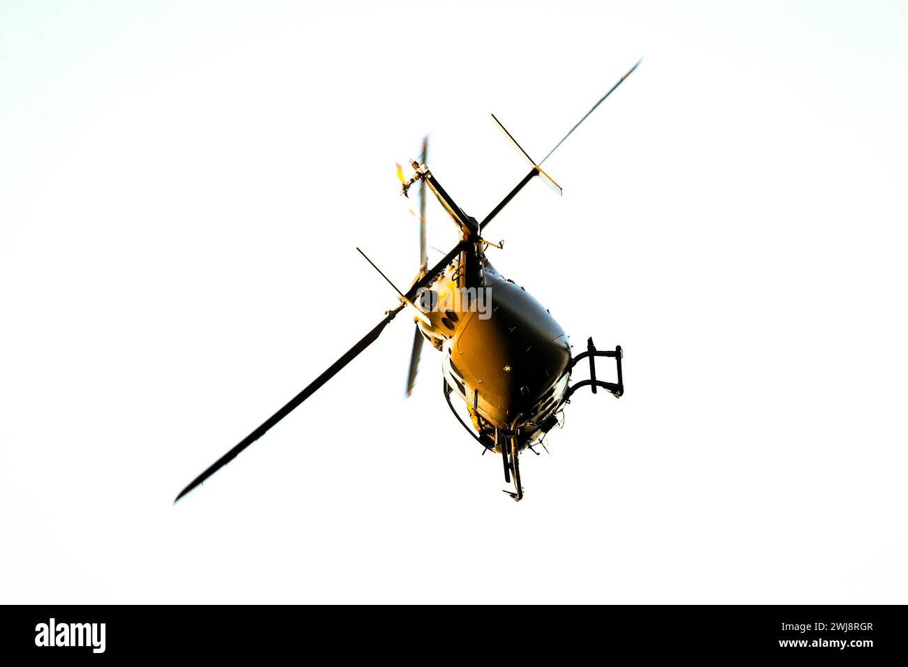 Kadetten der United States Military Academy mit dem West Point Parachute Team führen am 14. September 2023 eine Fallschirmdemonstration in einem Fußballspiel an der Kinnelon High School in Kinnelon, New Jersey durch. (Foto der Nationalgarde der US-Armee von SPC. Seth Cohen) Stockfoto