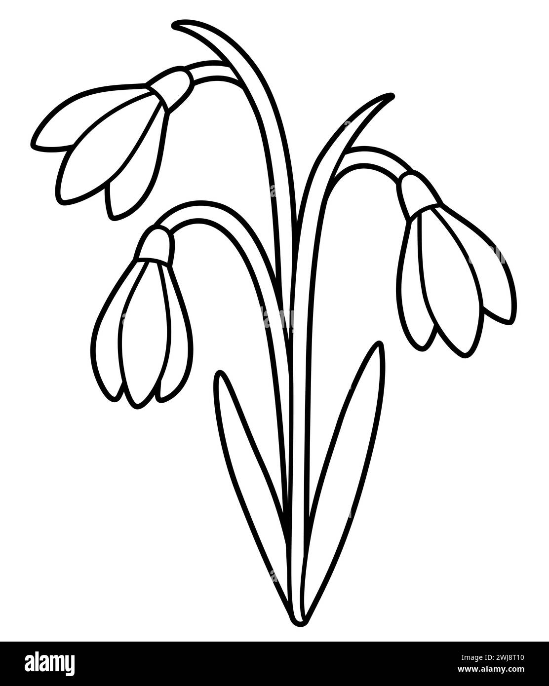 Blumenstrauß von Schneeglöckchen, schwarz-weiße Linienzeichnung. Einfache Zeichentrickumrisse zum Färben, Vektor-ClipArt Illustration. Stock Vektor