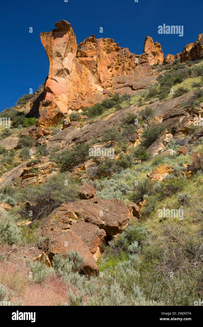 Canyon Aufschlüsse, Leslie Gulch Bereich der kritischen Umweltbewusstsein, Vale Bezirk Bureau of Land Management, Oregon Stockfoto