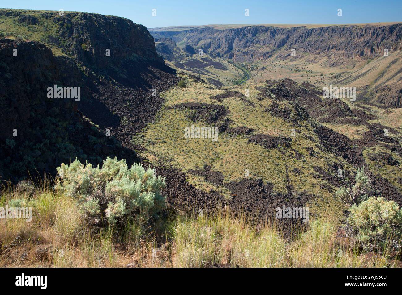 Owyhee Canyon Overlook, Owyhee Wild and Scenic River, Vale Bezirk Bureau of Landmanagement, Oregon Stockfoto