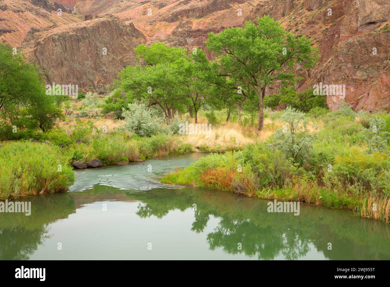 Unteren Owyhee River Canyon, Vale Bezirk Bureau of Land Management, Oregon Stockfoto