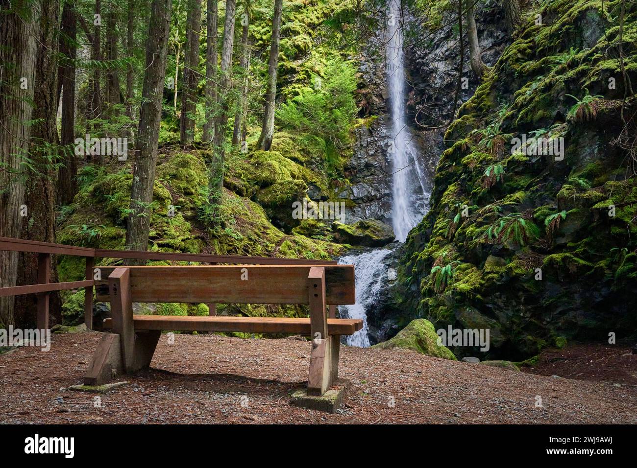 Blick auf den hoch aufragenden Wasserfall, inmitten des hellen grünen Waldes, von einer Parkbank aus. Stockfoto