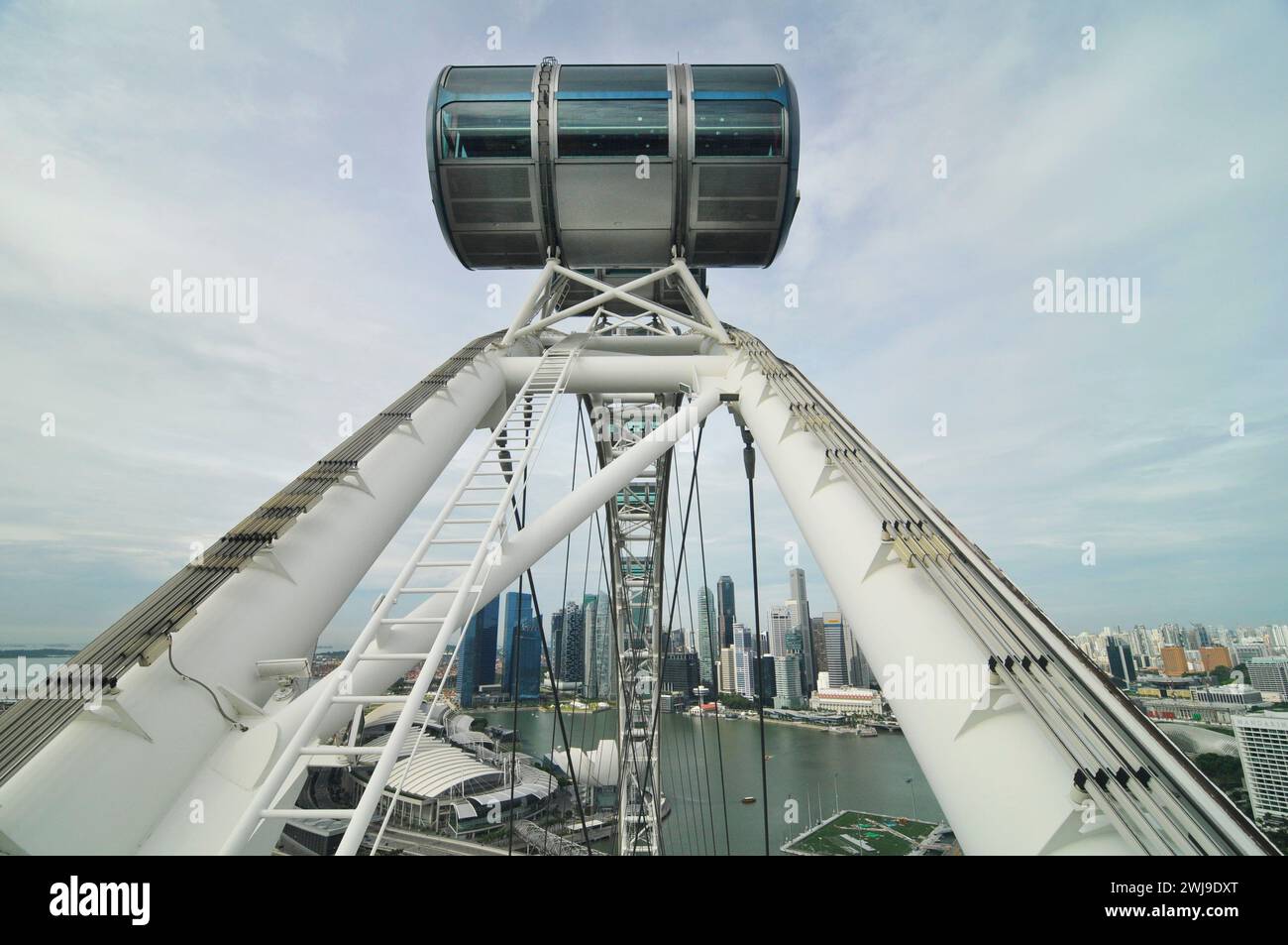 Der Singapore Flyer mit Singapurs Businesscenter im Hintergrund. Stockfoto