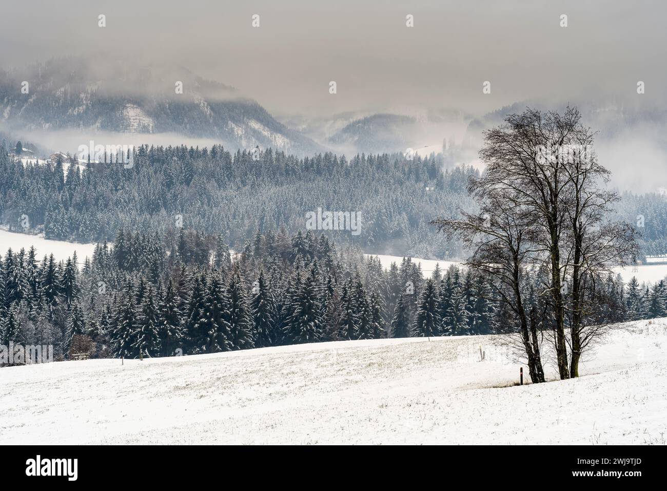 Malerische Winterlandschaft, Niederdorf-Villabassa, Südtirol, Italien Stockfoto