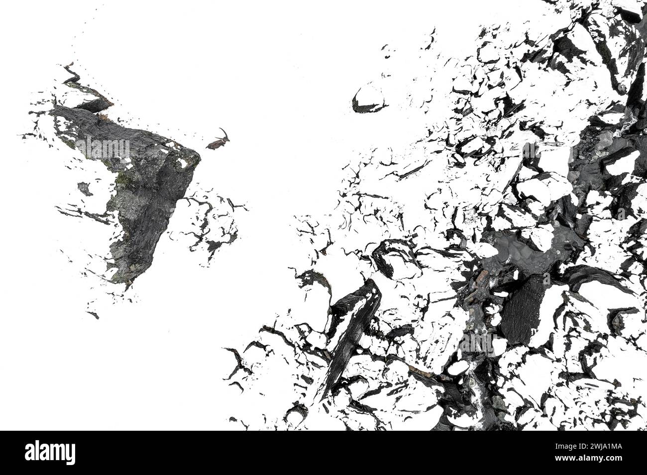 Blick auf die Drohne auf schneebedeckte Berge mit alpinem Steinbock (Capra Steinbock) Stockfoto