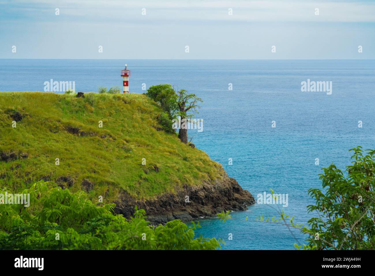 Ein ruhiger Leuchtturm befindet sich auf einer grünen Klippe mit Blick auf das azurblaue Wasser der Nordküste, und ein einsamer Baum unterstreicht die ruhige Szene. Stockfoto