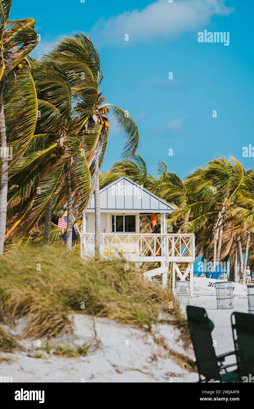 Ein malerisches weißes Strandhaus, eingebettet zwischen windgepeitschten Palmen unter einem klaren blauen Himmel in Miami, Florida, bietet eine ruhige tropische Atmosphäre. Stockfoto