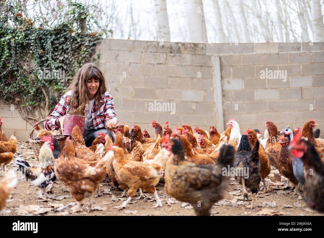 Glückliche junge Bäuerin, die Hühnern mit der Hand Mais zufüttert. Tierschutz und Pflege auf einem Bio-Bauernhof. Stockfoto