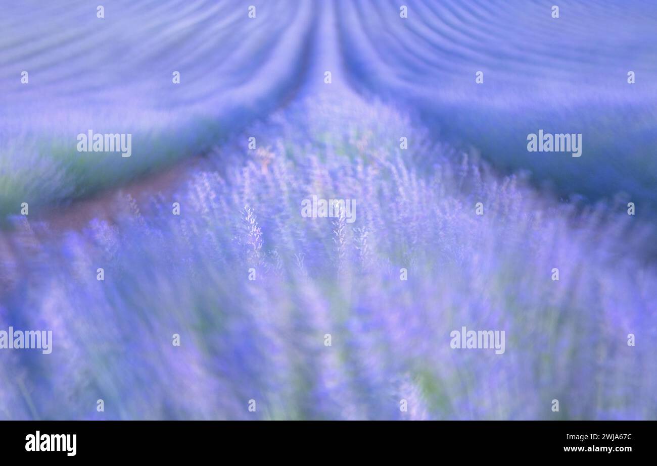 Eine abstrakte Nahansicht einer blau-violetten strukturierten Oberfläche, die ein Gefühl von Tiefe und Bewegung erzeugt Stockfoto