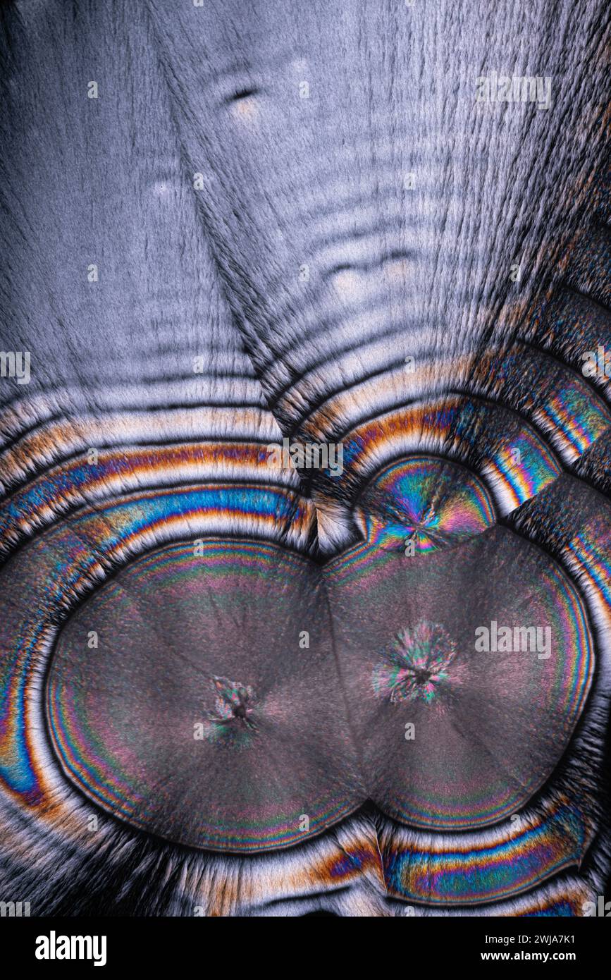 Dieses Bild erfasst die faszinierenden Wirbel und schillernden Farben auf der Oberfläche von Seifenblasen und erzeugt einen abstrakten visuellen Effekt Stockfoto