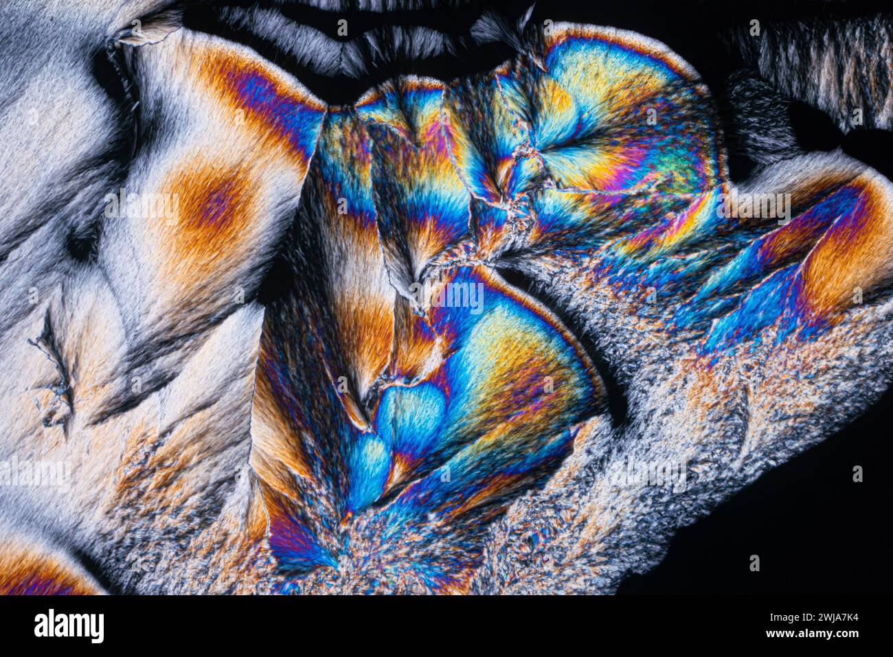 Lebendige Farben entstehen aus kristallisierten Substanzen unter polarisierter Lichtmikroskopie und zeigen abstrakte Muster und Texturen Stockfoto