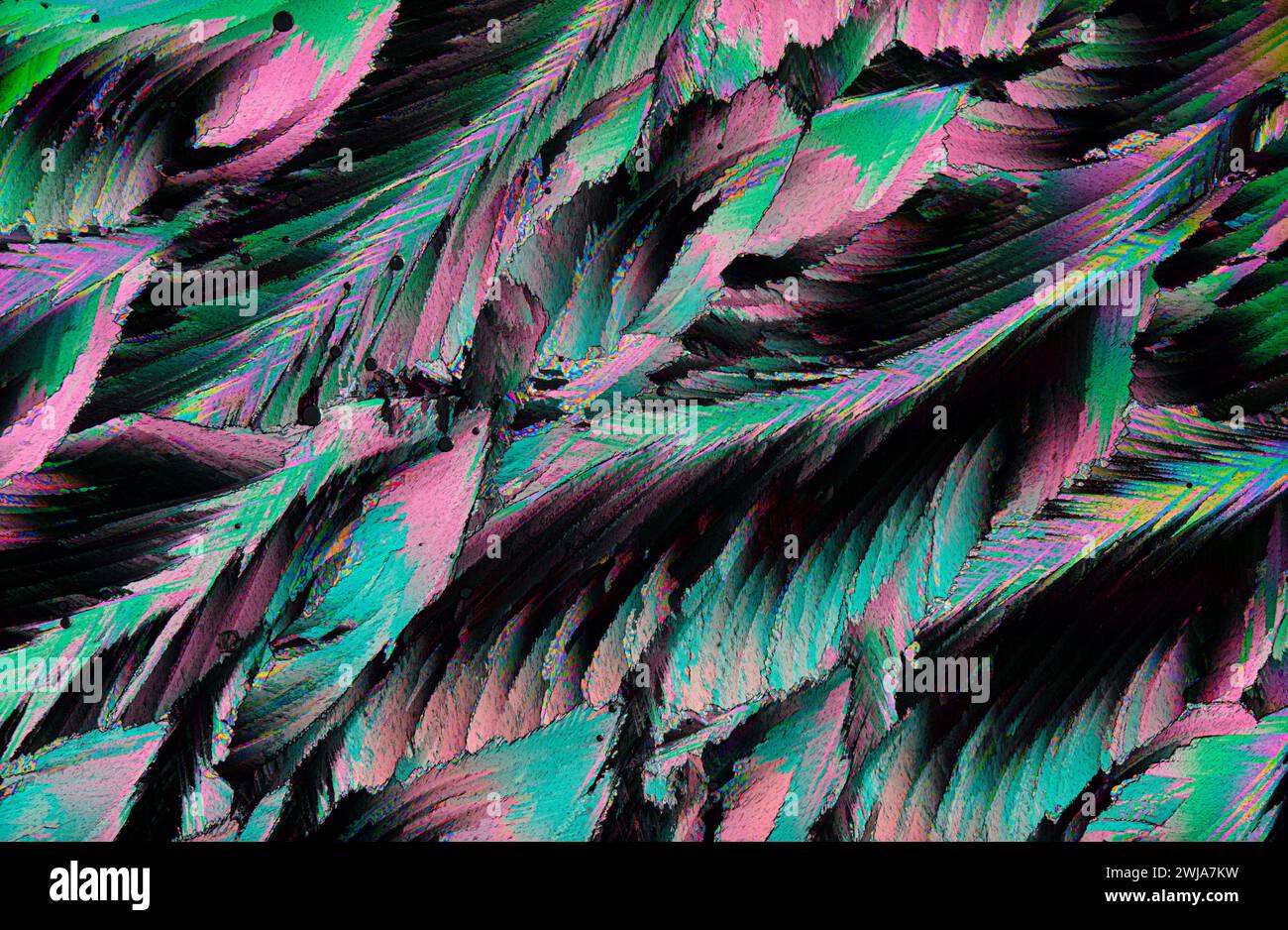 Ein Bild mit einer Nahaufnahme von Federn mit einer abstrakten Neonfarbenpalette, die eine lebendige visuelle Textur erzeugt Stockfoto