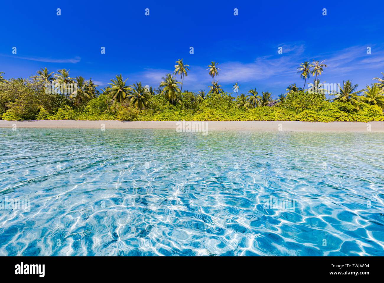 Beste Reiselandschaft. Paradies Strand eine fantastische tropische Insel. Wunderschöne Palmen in der Nähe idyllische Meereswellen Sonnenschein blaue Wolken. Luxustourismus Stockfoto
