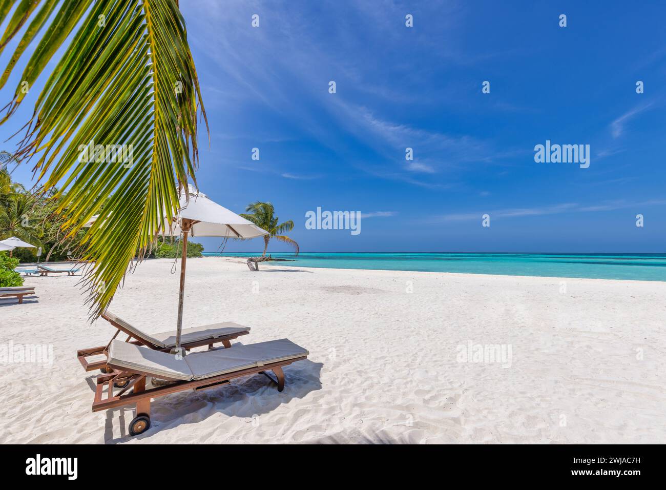 Tropisches Paradies Strand weißer Sand Kokospalmen Reise Tourismus Panorama Hintergrund. Luxusurlaub und Urlaub Flitterwochen, tropischer Liebespaarstrand Stockfoto