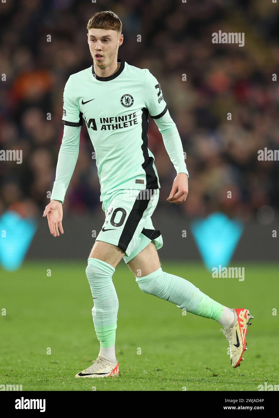 London, Großbritannien. Februar 2024. Cole Palmer aus Chelsea während des Premier League-Spiels im Selhurst Park, London. Der Bildnachweis sollte lauten: Paul Terry/Sportimage Credit: Sportimage Ltd/Alamy Live News Stockfoto