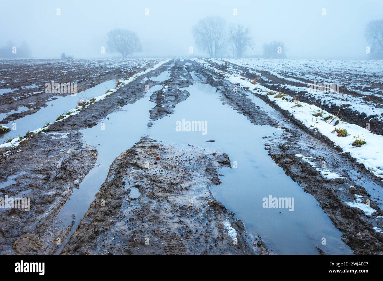 Wasser und Schlamm auf unbefestigten Straßen und Feldern an einem nebeligen Tag, Februarnachmittag Stockfoto