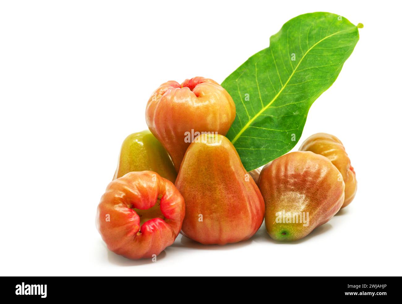 Thailand Fruit, Eine Gruppe Rosenapfel auf weißem Hintergrund mit seinem Blatt als Dekoration, schließen Sie einen Haufen Rosenapfel oder Chomphu in Thailand Stockfoto