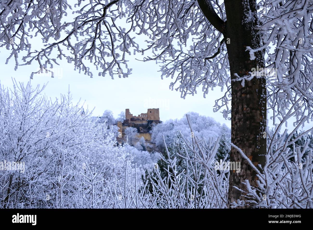 Das Schloss Frauenstein in Frauenstein im Winter, Erzgebirge, Sachsen, Deutschland Stockfoto