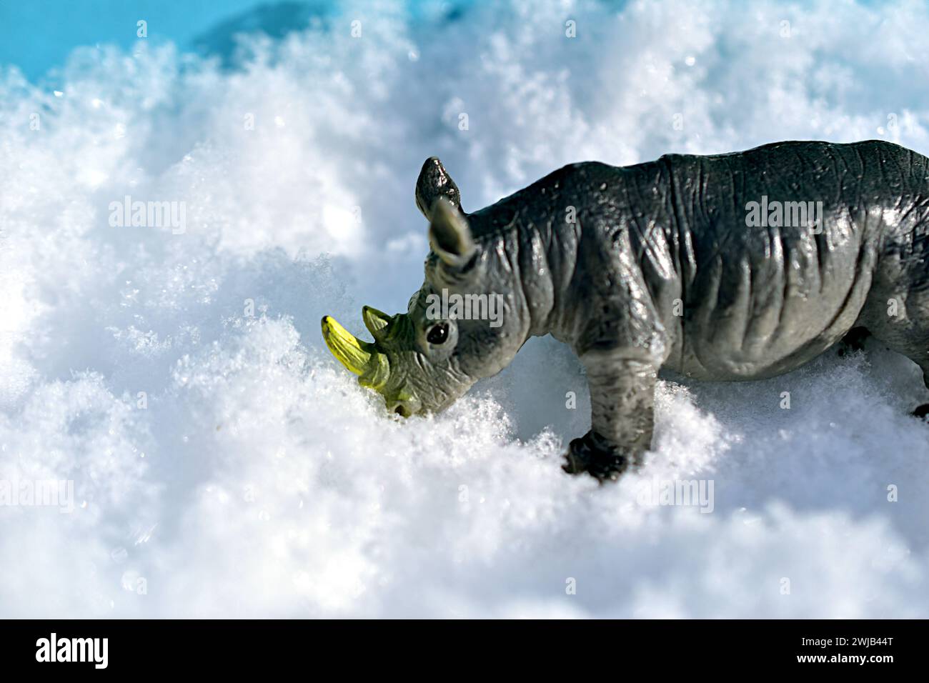 Kinderspielzeug Nashörner aus Nahaufnahme. Ein Nashorn steht auf weißem Schnee. Hochwertige Fotos Stockfoto