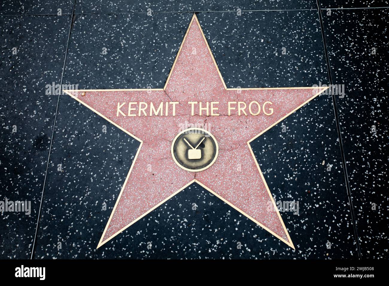 Kermit the Frog's Star am Hollywood Walk of Fame, Kalifornien, USA Stockfoto