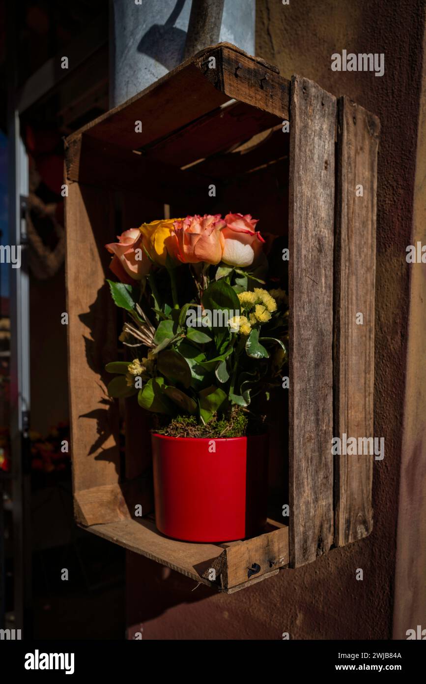 Während Sie durch die Straßen von Mailand schlendern, nehmen Sie sich einen Moment Zeit, um den atemberaubenden Anblick zu bestaunen, der Ihren Weg schmückt – wunderschöne Blumen Stockfoto
