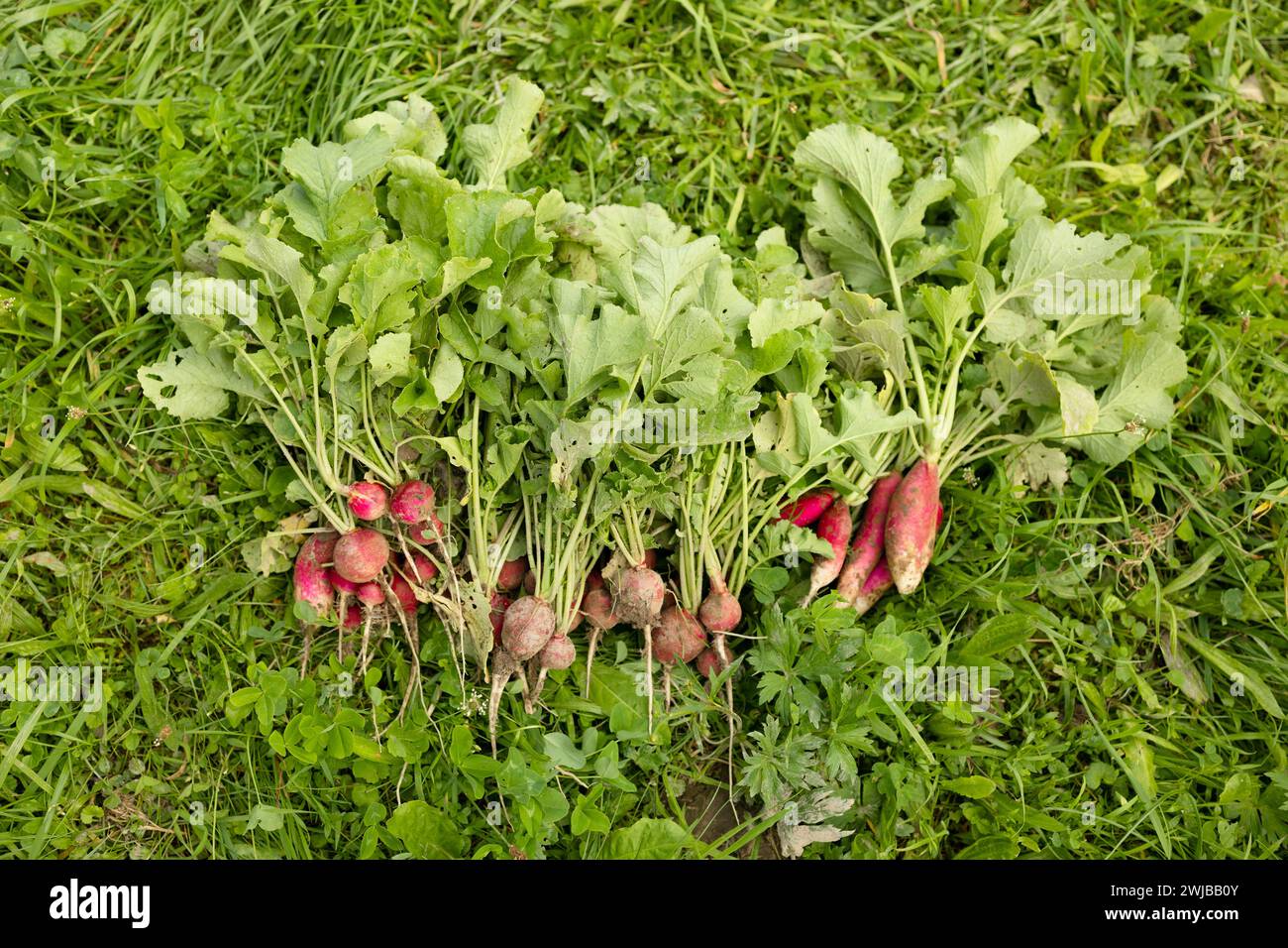 Richtige ferien -Fotos und -Bildmaterial in hoher Auflösung – Alamy