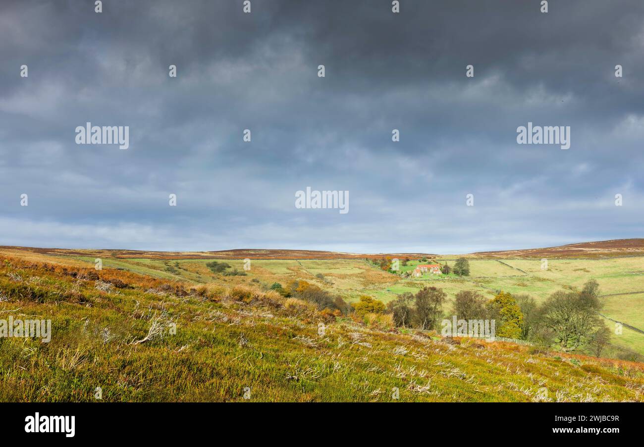Glaisdale, Großbritannien - wunderschöne Aussicht entlang des dale mit farbenfrohen Heidekraut, Trockenmauern, Feldern und all dem unter hellem bewölktem Himmel im Herbst. Glaisdale, Großbritannien. Stockfoto