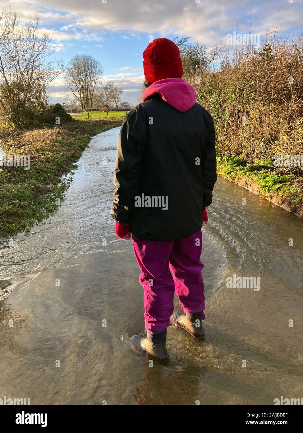 Frau von hinten, stehend im Hochwasser auf der Landstraße, Somerset, England Stockfoto