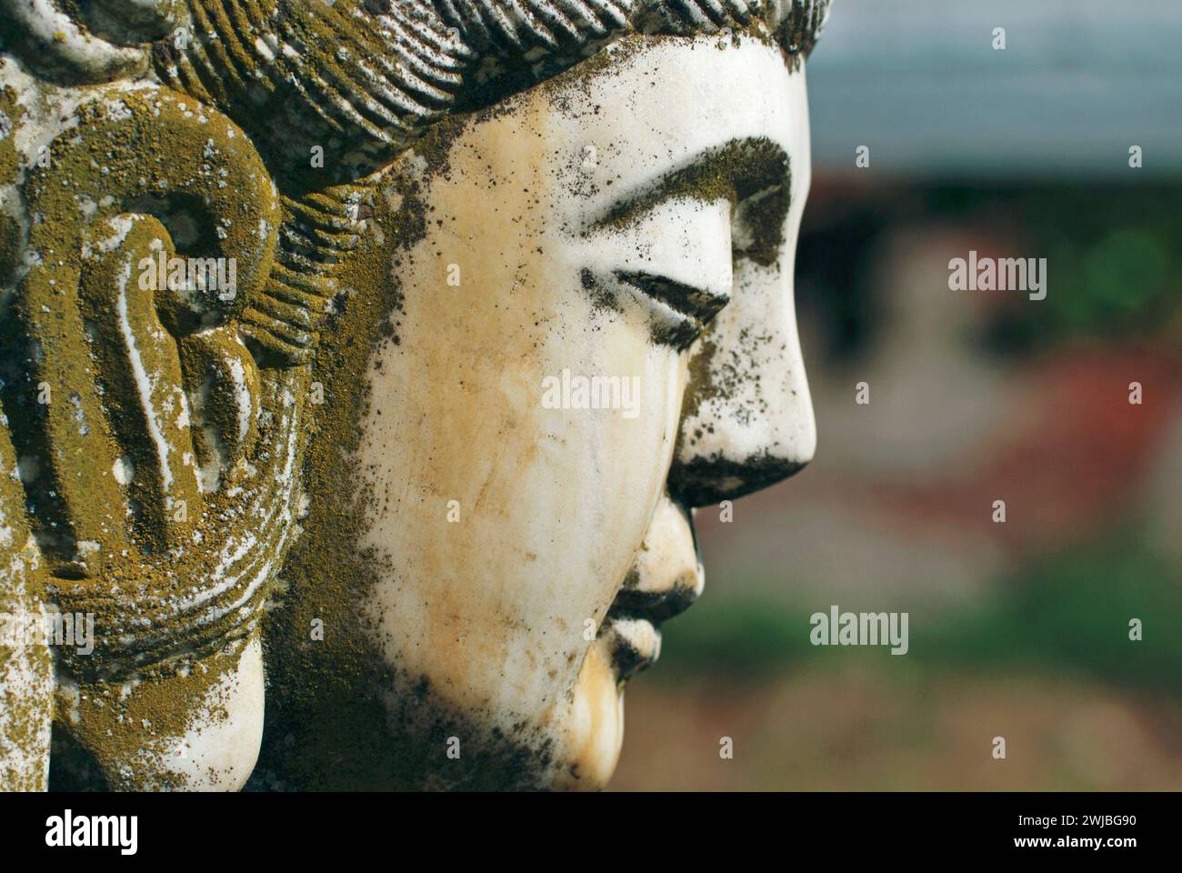 Buddha-Kopf im Moos bedeckt Stockfoto