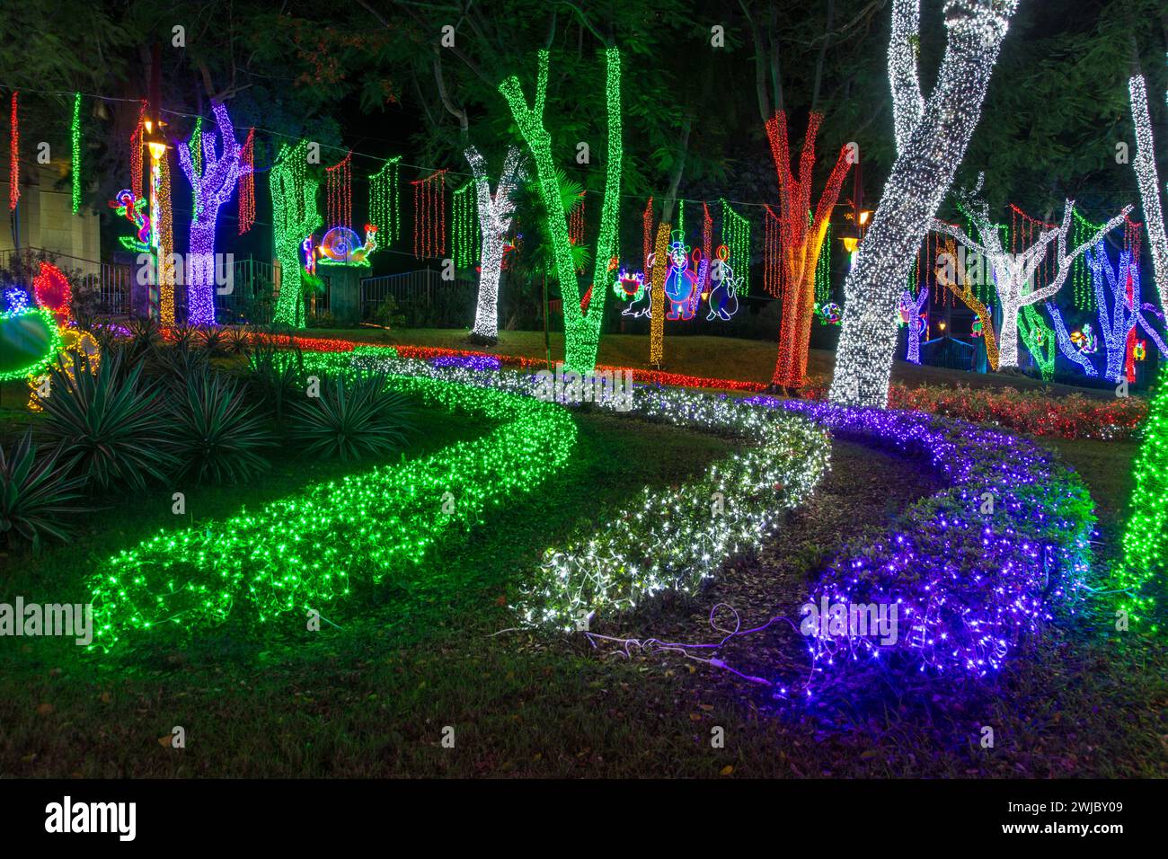 Millionen von Weihnachtslichtern schmücken den Ibero-American Park in Santo Domingo, Dominikanische Republik. Stockfoto