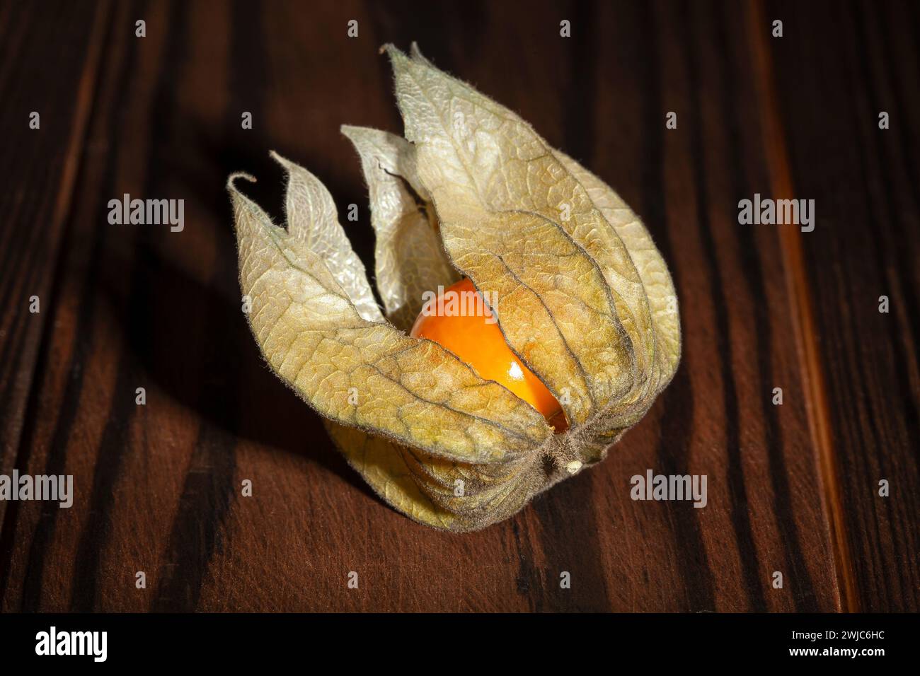 Eine Physalis auf Holzhintergrund Stockfoto