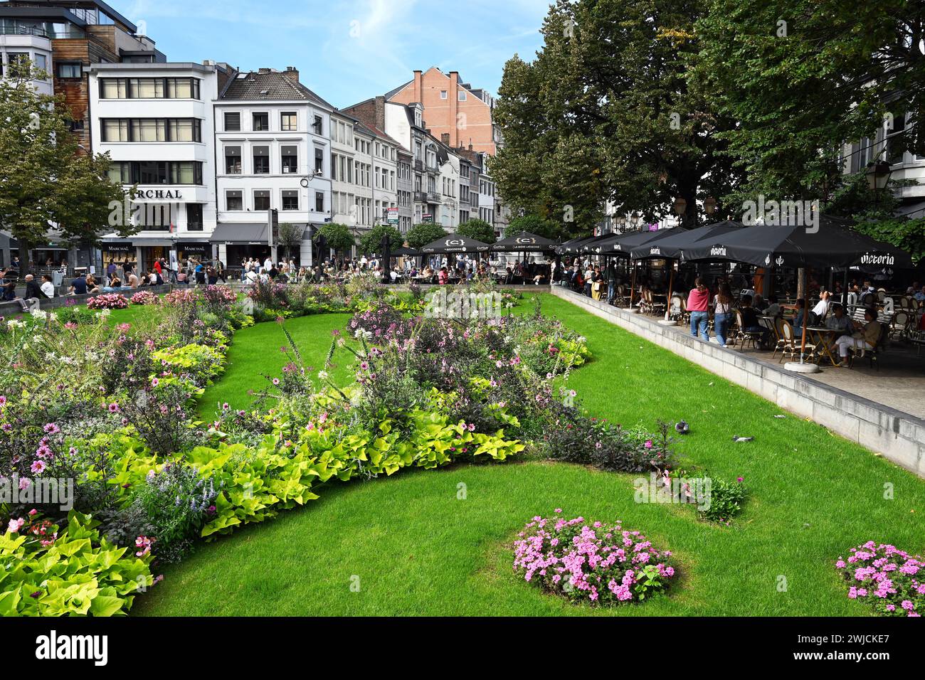 Blühende Pflanzen am Place de la Cathédrale Stockfoto