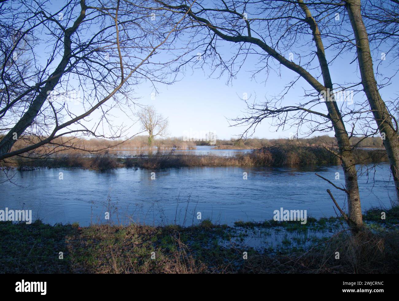 Der schnell fließende Kennet River ist überflutet und hat überflutete Felder dahinter Stockfoto