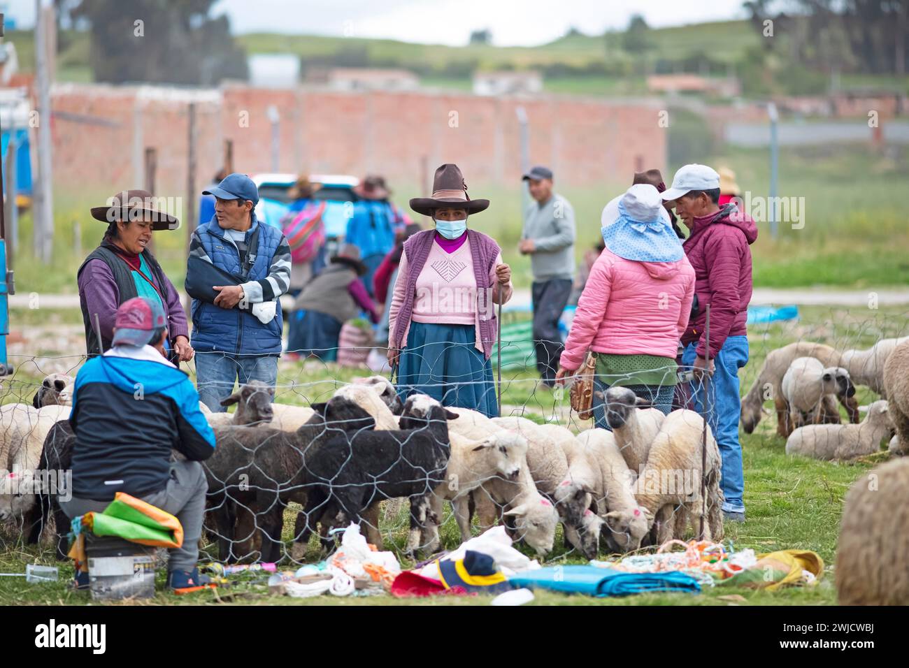Peruaner mit traditionellen Hüten beobachten Schafe auf dem Indio-Markt in Chinchero, Region Cusco, Peru Stockfoto
