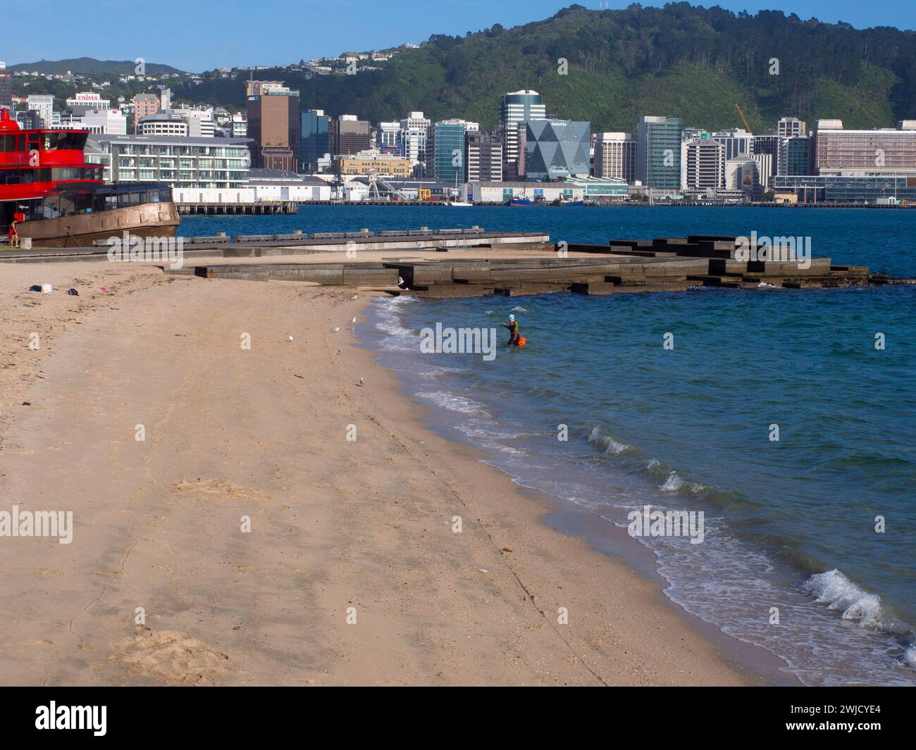 Person, Die Aus Dem Wasser Am Oriental Bay Beach Kommt Stockfoto