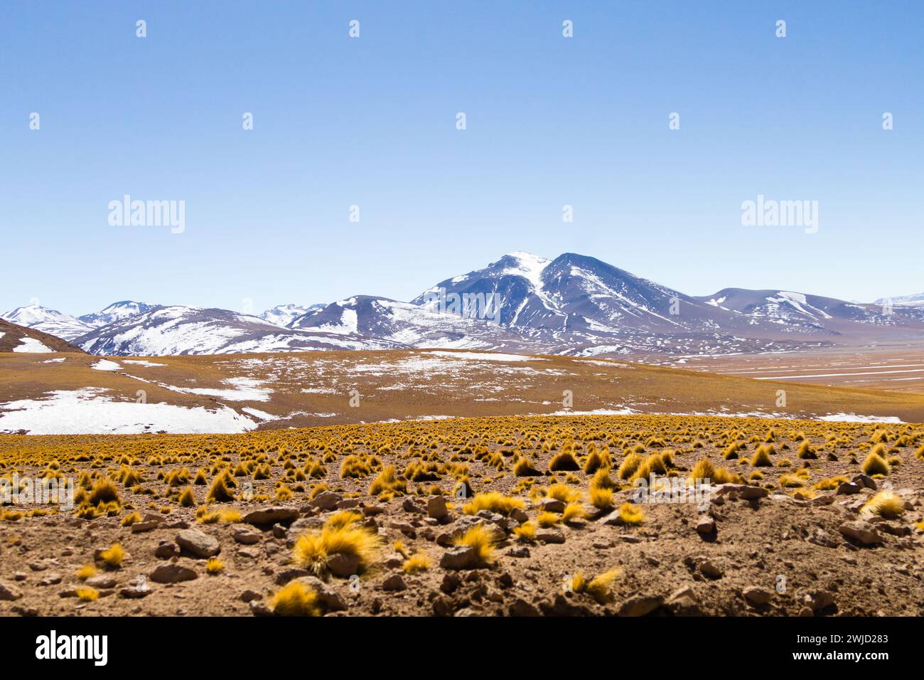 Bolivianischen Landschaft, Salvador Dali Desert View. Schöne Bolivien Stockfoto