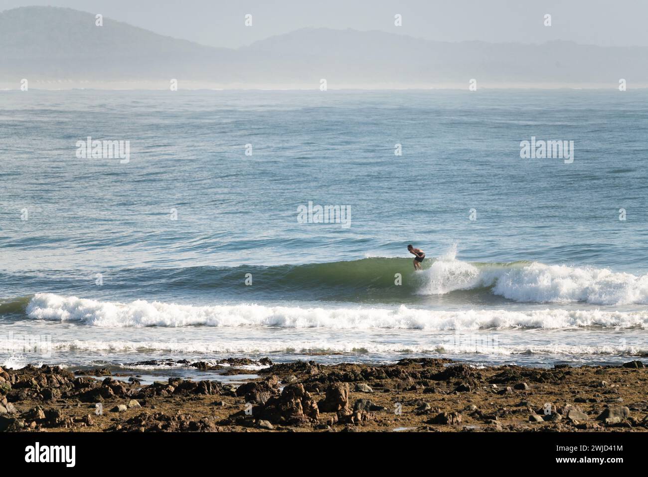 Longboard Surfer am Arrawarra Beach, New South Wales, Australien Stockfoto