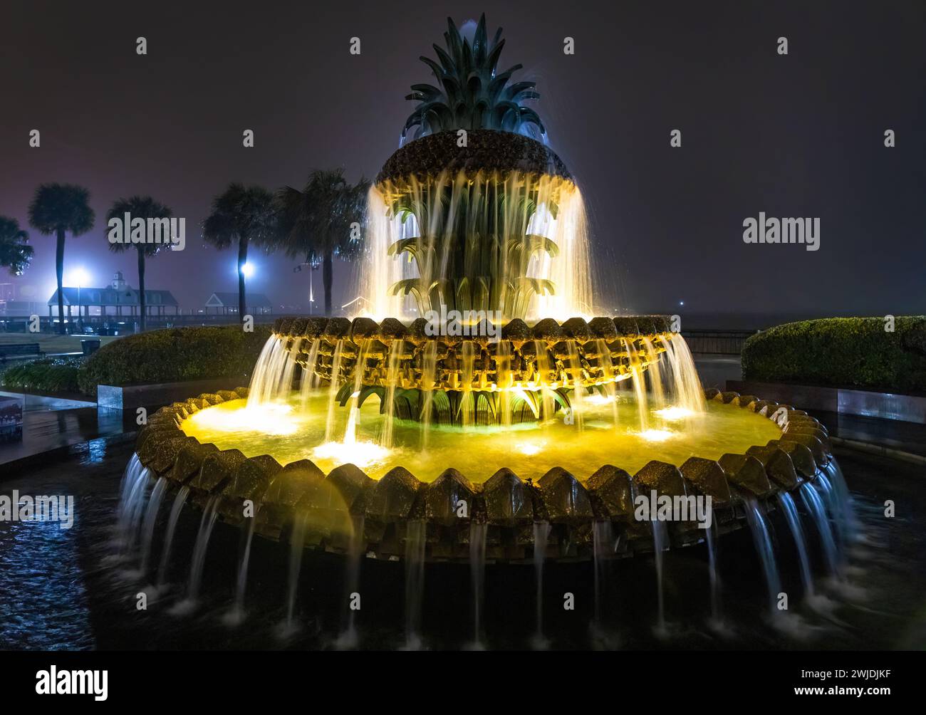 Berühmter Ananasbrunnen, beleuchtet bei Nacht in Charleston, South Carolina Stockfoto