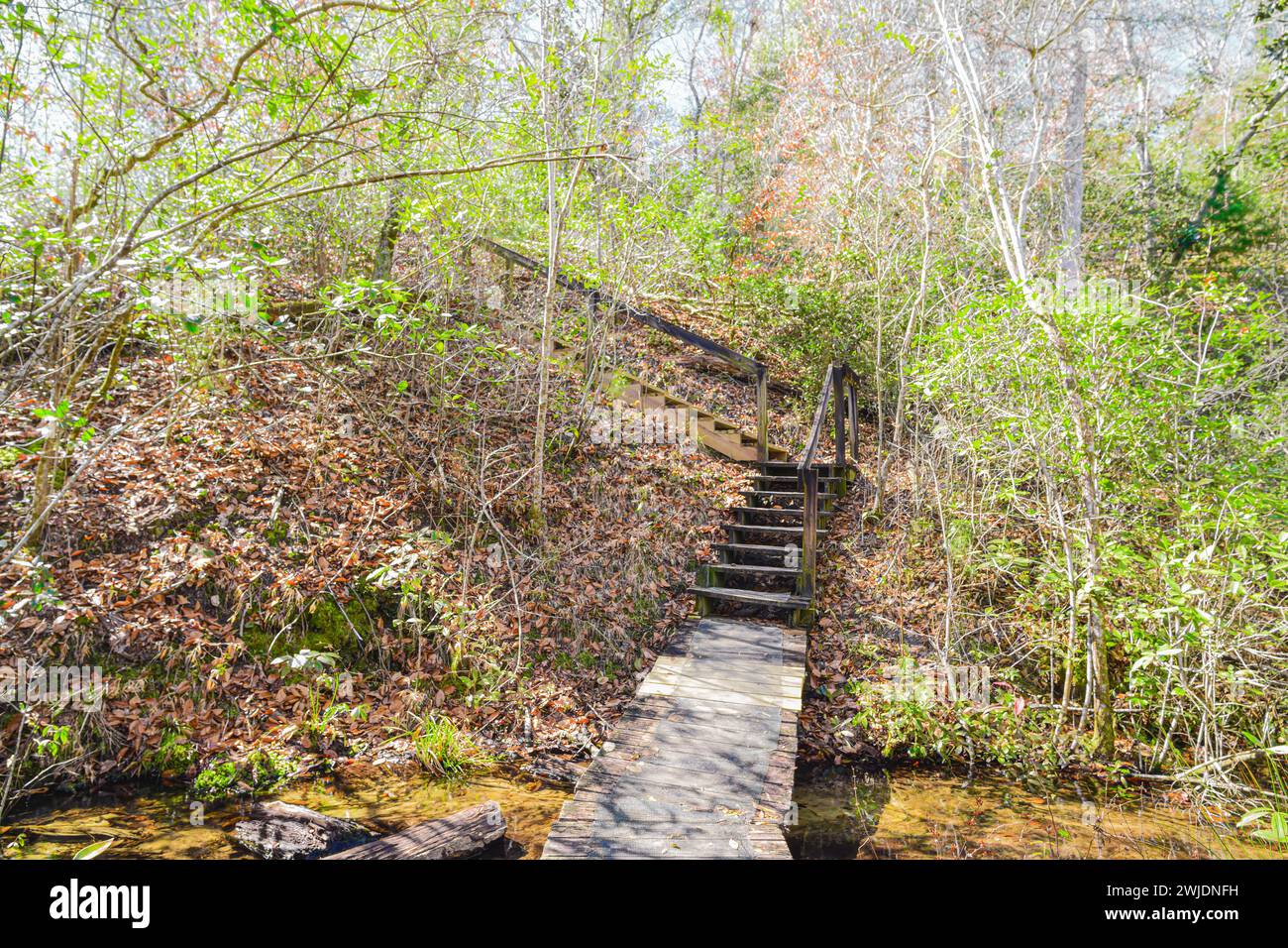 Beim Betreten des Garden of Eden Trail entfaltet jeder Schritt eine Geschichte, die von der Natur geformt wurde und Sie dazu lockt, den Charme zu entdecken. Stockfoto