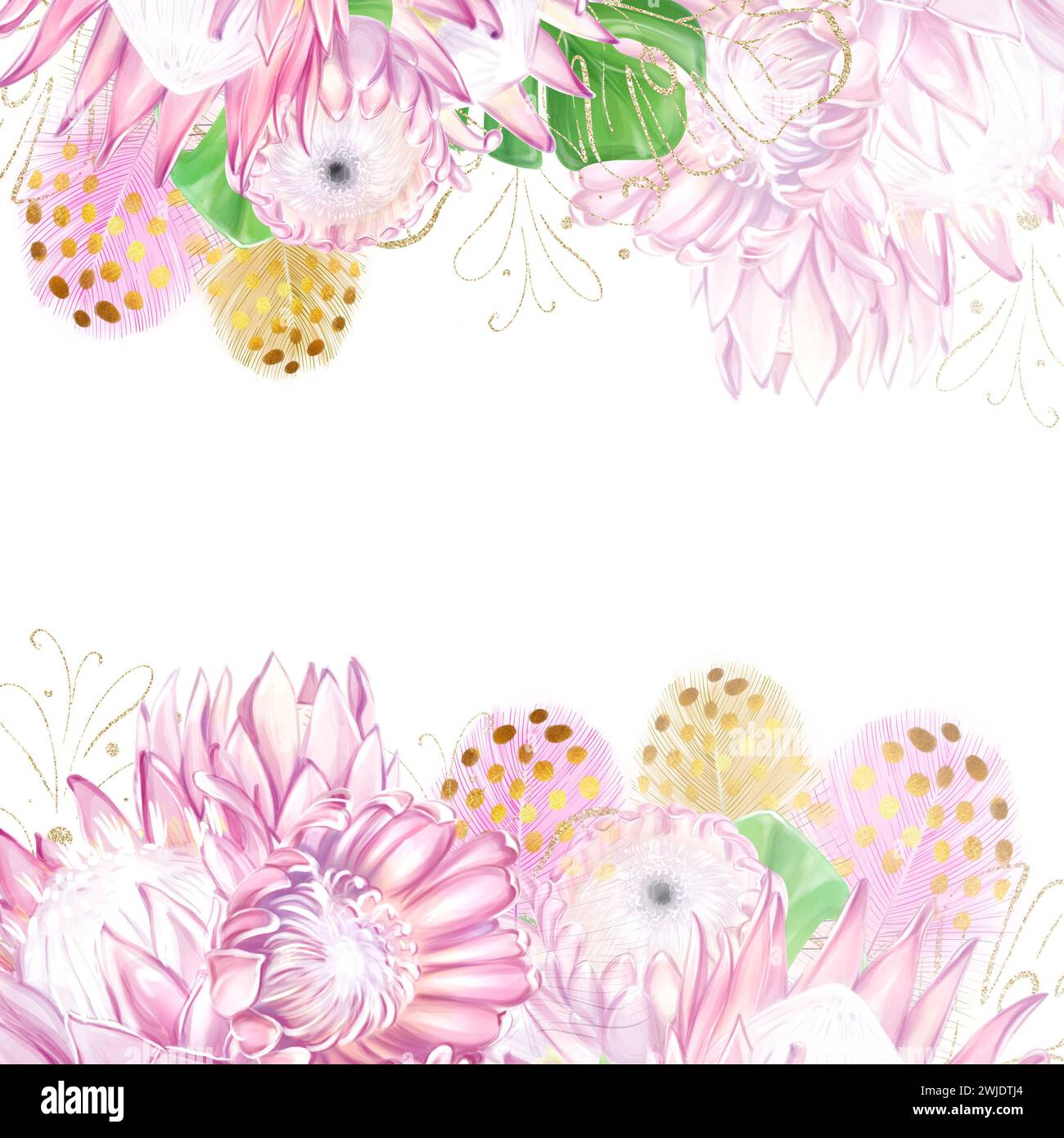 Tropisches Banner, quadratischer Rahmen mit rosa Protea-Blumen und bunten Federn. Exotische Pflanzen, romantische, luxuriöse Vorlage für Design. Stockfoto