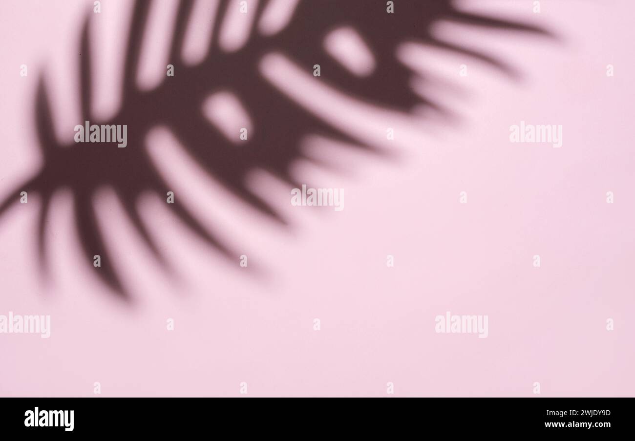 Dieses Bild fängt ein traumhaftes, abstraktes Muster ein, das durch die unscharfen Bewegungen von Palmwedeln in einem sanften, diffusen Licht entsteht. Stockfoto