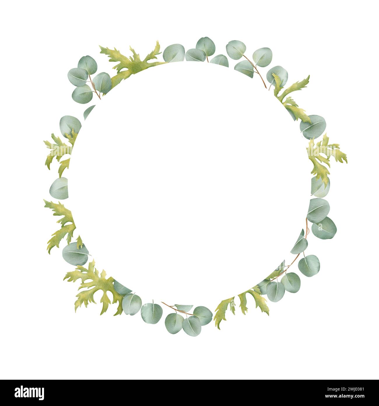 Ein minimalistischer kreisförmiger Rahmen aus Anemonenblättern und Eukalyptuszweigen. Für Einladungen, Grußkarten, Poster und Grafiken in sozialen Medien Stockfoto