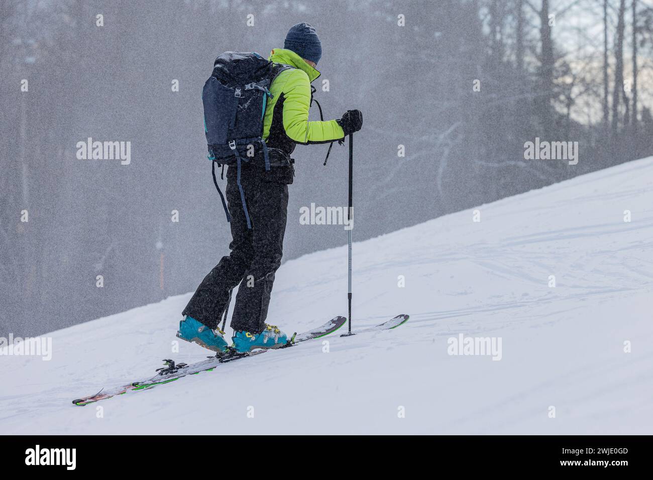 Skitouren, eine Person geht langsam bergauf mit Skiern, moderne Ausrüstung für Skitouren, Schnee fällt herunter, Bäume im Hintergrund. Stockfoto