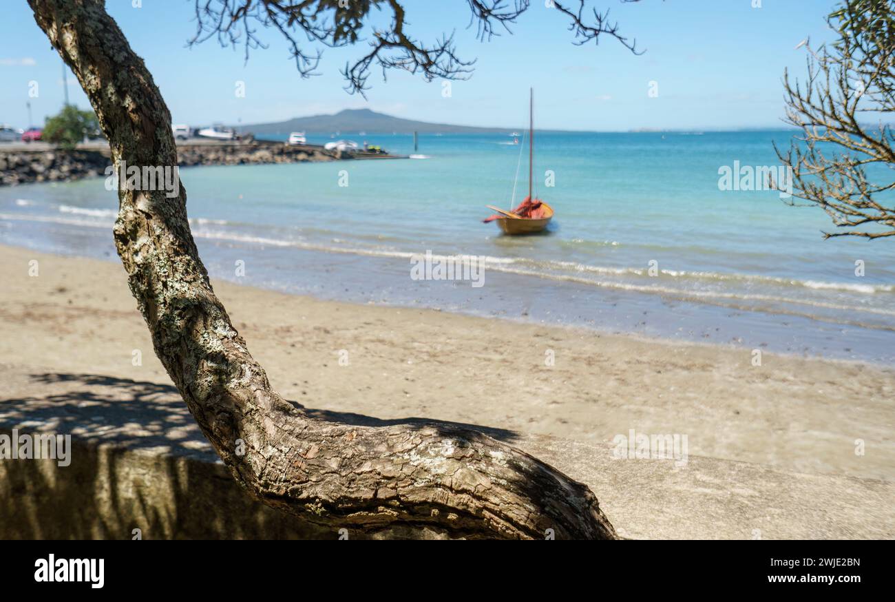 Pohutukawa-Baum, der ein Segelboot am Takapuna Beach umrahmt. Rangitoto Island in der Ferne. Selektiver Fokus auf Baumstamm. Auckland. Stockfoto